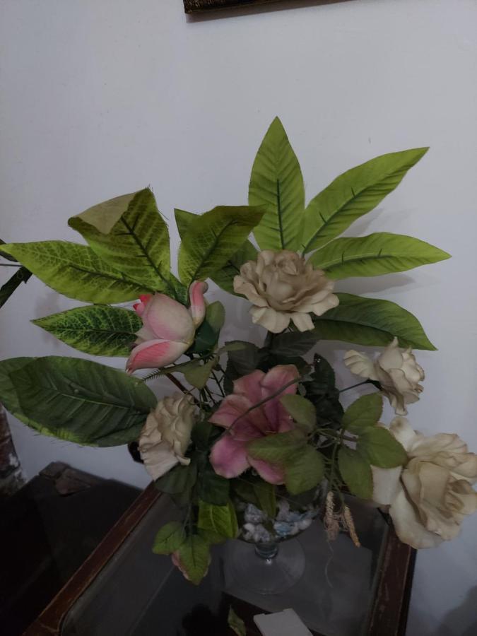 Al Moayad Apartment Near To Genina Mall, Abbas Al Akkad カイロ エクステリア 写真